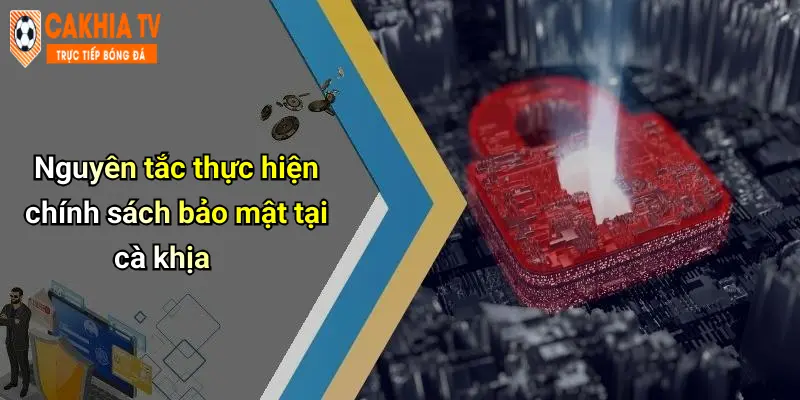 Nguyên tắc thực hiện chính sách bảo mật tại cà khịa