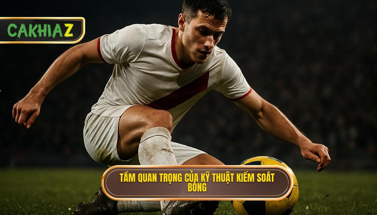 Nền Tảng Triết Lý Tại Sao Kỹ Thuật Kiểm Soát Bóng Trong Không Gian Hẹp Lại Tối Quan Trọng